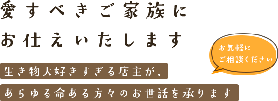 愛すべきご家族にお仕えいたします