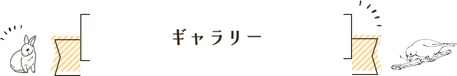 ギャラリー