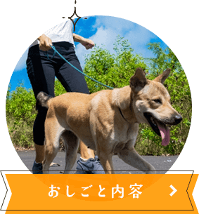 おしごと内容