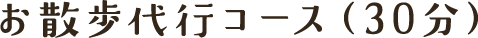お散歩代行コース（30分）