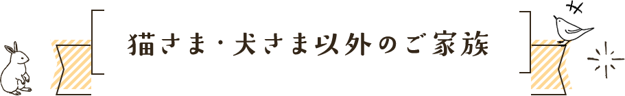 猫さま・犬さま以外のご家族
